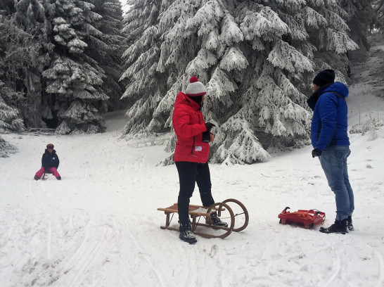 Schlittengaudi im Taunus