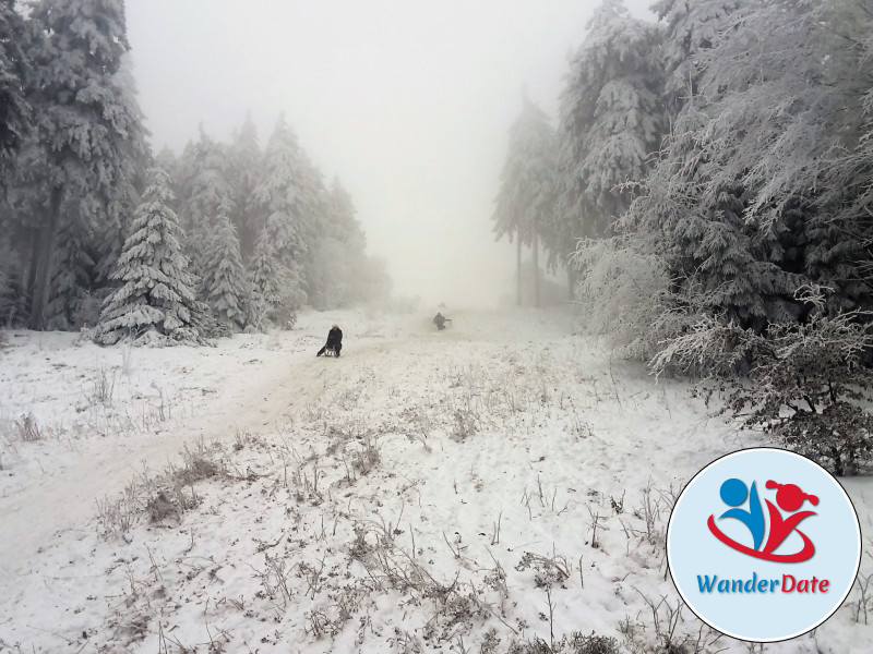 Schlittengaudi im Taunus