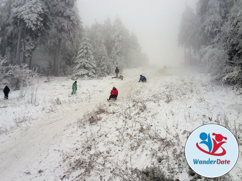 Schlittengaudi im Taunus