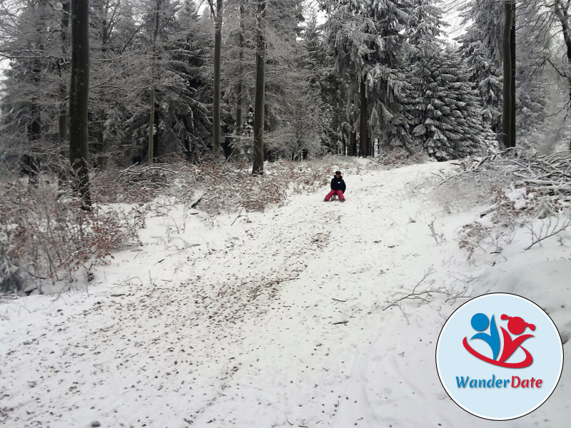 Schlittengaudi im Taunus