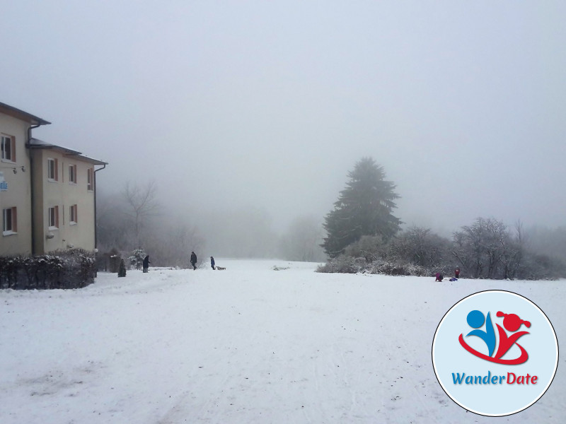 Schlittengaudi im Taunus