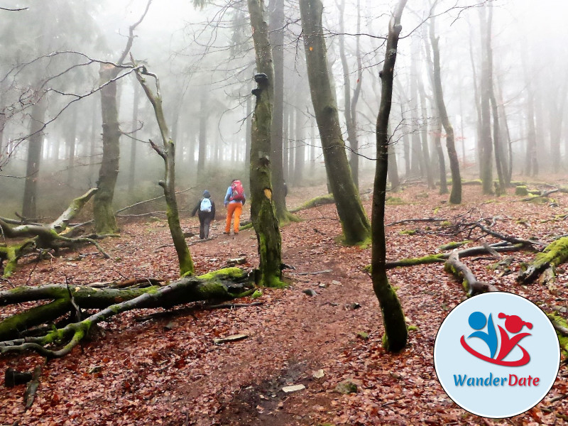 Wandergaudi im Taunus