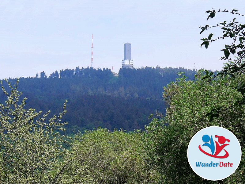 Wandergaudi im Taunus