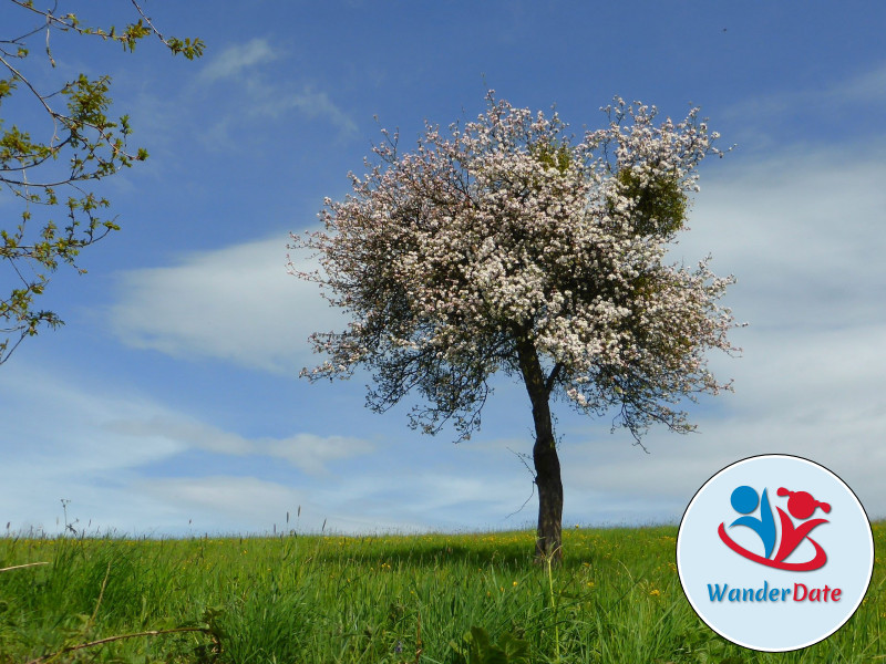 Buddhas Panoramaweg im Odenwald