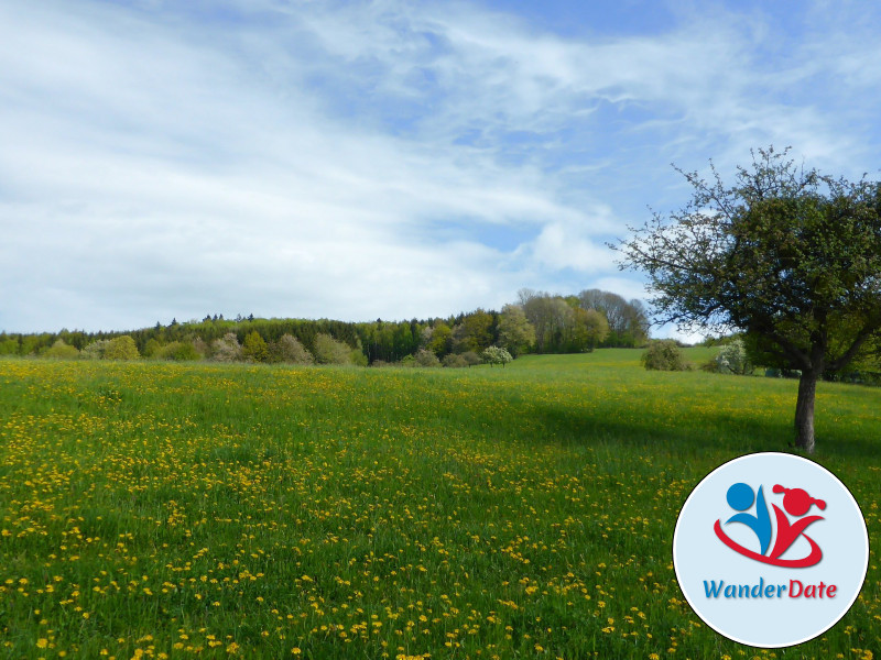 Buddhas Panoramaweg im Odenwald