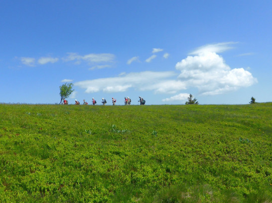 Wandern in den wilden Vogesen