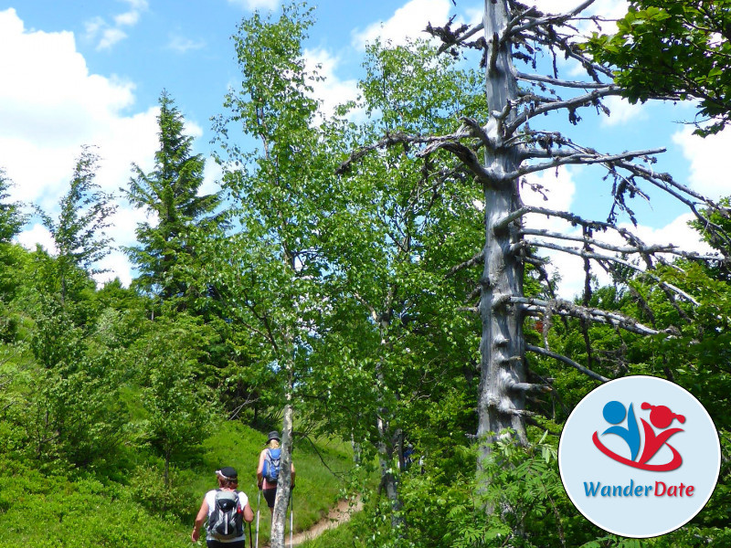 Wandern in den wilden Vogesen