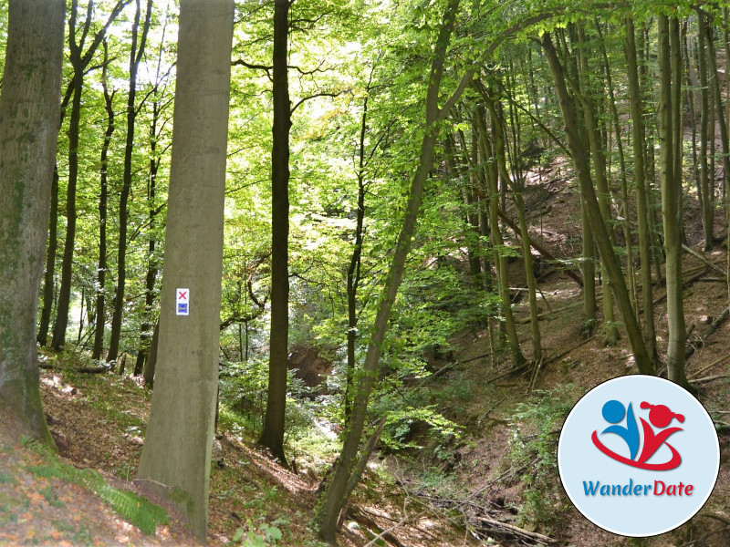 Romantische Rückersbacher Schlucht mit Phonolith