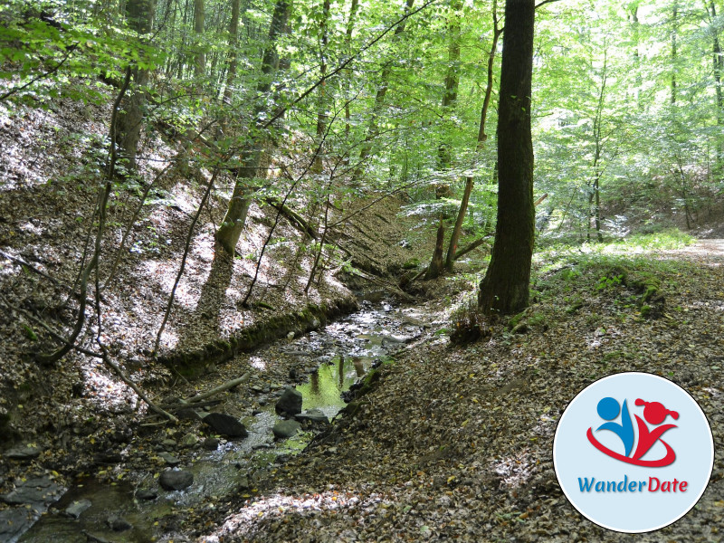 Romantische Rückersbacher Schlucht mit Phonolith