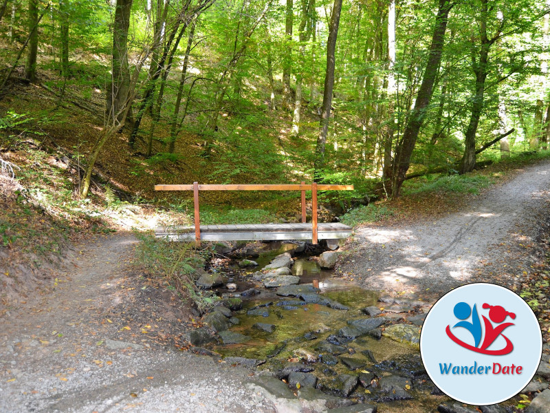 Romantische Rückersbacher Schlucht mit Phonolith