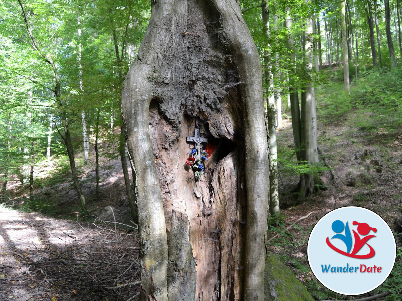 Romantische Rückersbacher Schlucht mit Phonolith