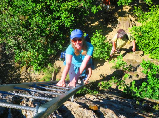 Hängeseilbrücke Geierlay und Traumschleife Layensteig Strimmiger Berg