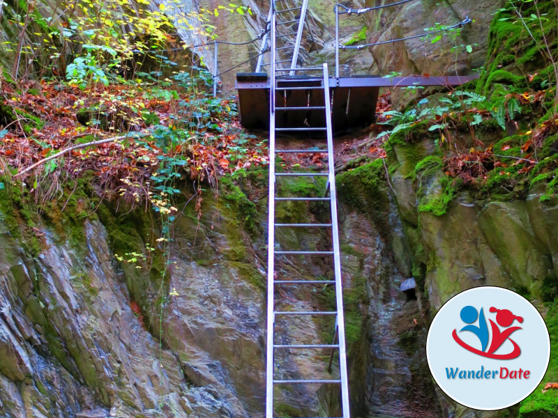 Hängeseilbrücke Geierlay und Traumschleife Layensteig Strimmiger Berg