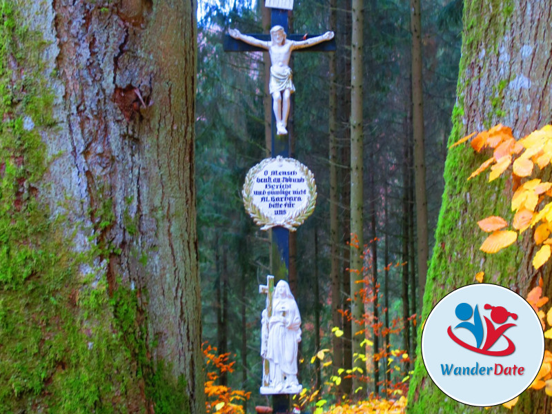 Hängeseilbrücke Geierlay und Traumschleife Layensteig Strimmiger Berg