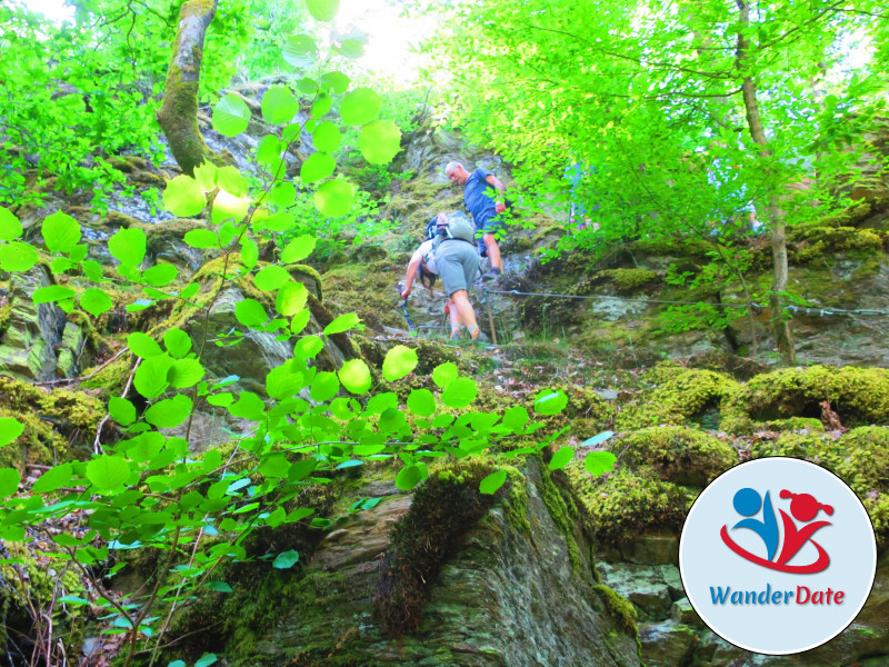 Hängeseilbrücke Geierlay und Traumschleife Layensteig Strimmiger Berg