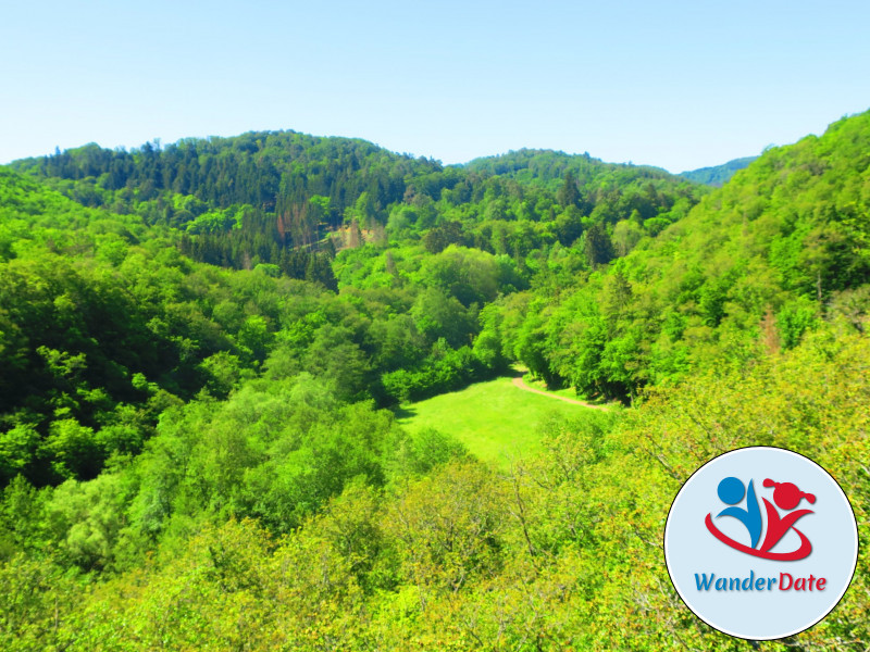 Hängeseilbrücke Geierlay und Traumschleife Layensteig Strimmiger Berg