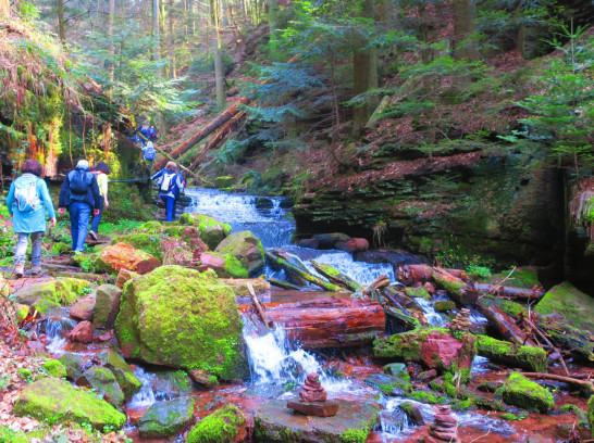 Wolfsschlucht und Katzenbuckel im Odenwald