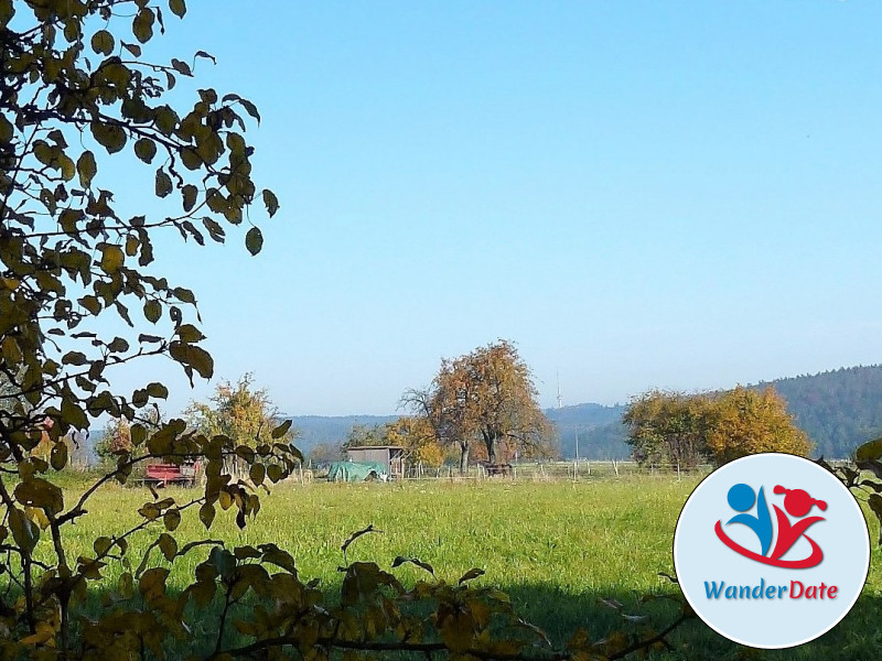 Wolfsschlucht und Katzenbuckel im Odenwald