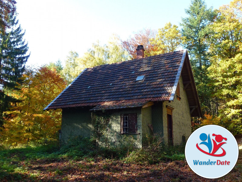 Wolfsschlucht und Katzenbuckel im Odenwald