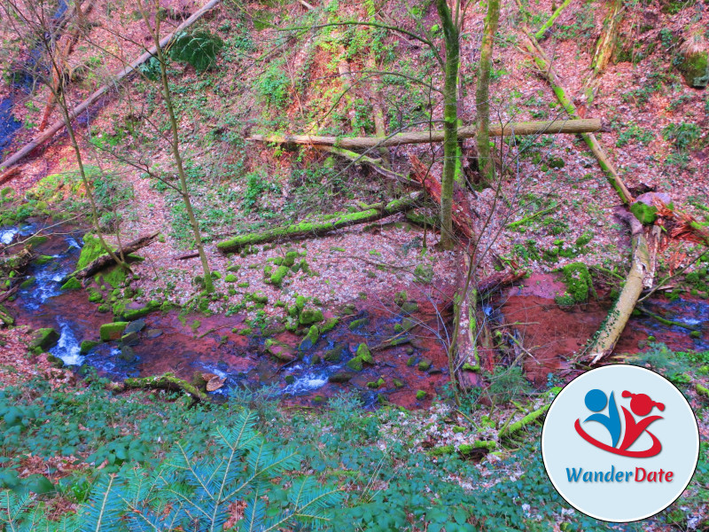 Wolfsschlucht und Katzenbuckel im Odenwald