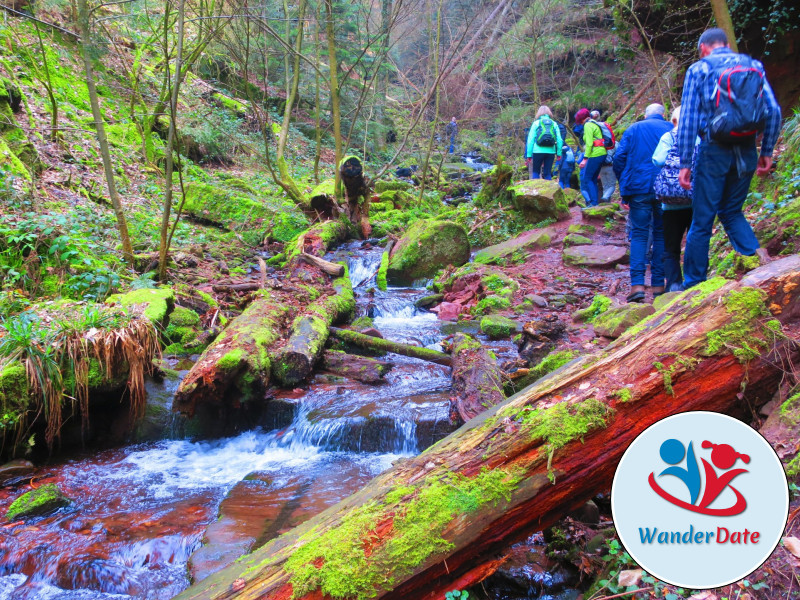 Wolfsschlucht und Katzenbuckel im Odenwald