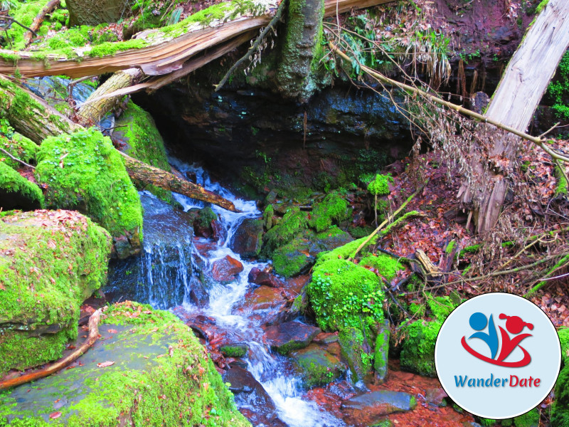 Wolfsschlucht und Katzenbuckel im Odenwald