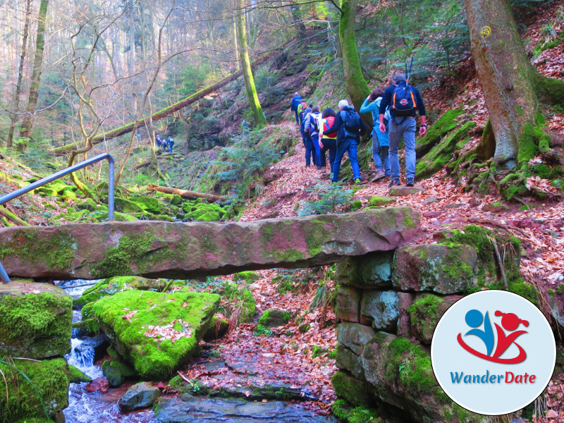 Wolfsschlucht und Katzenbuckel im Odenwald