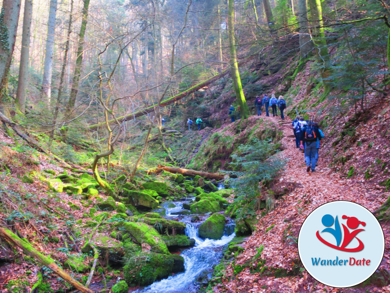 Wolfsschlucht und Katzenbuckel im Odenwald