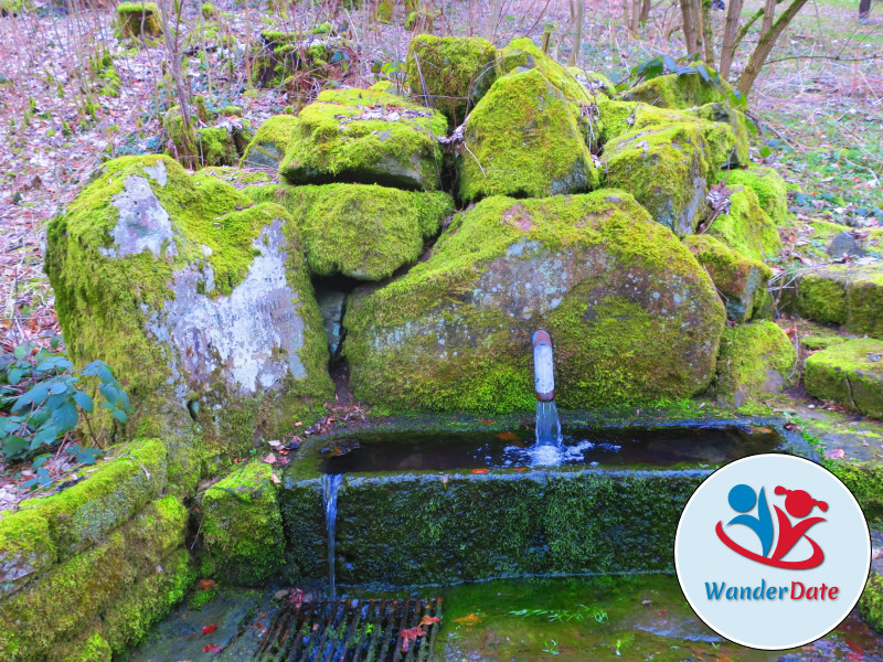 Wolfsschlucht und Katzenbuckel im Odenwald