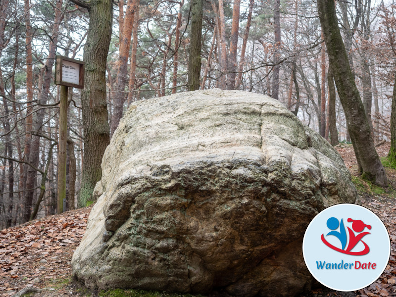 Meditative Meistertour im Taunus