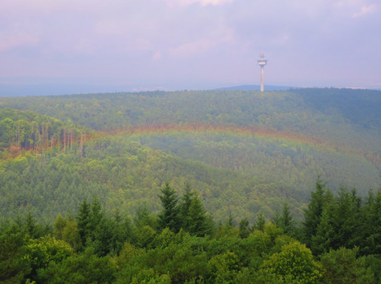 Bismarckturm, Heidenfels und Teufelsstein um Bad Dürkheim