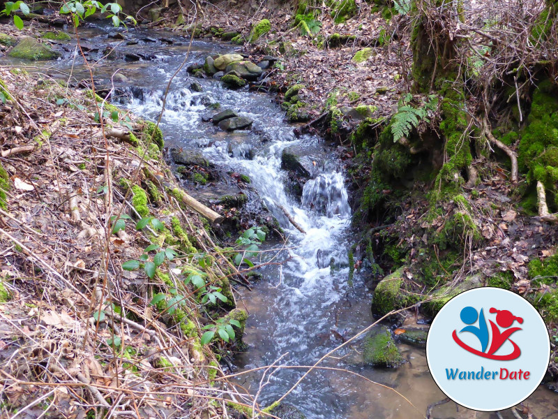 Carl Weyprecht Wanderweg mit Odenwald Therme