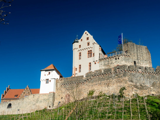 Burg Alzenau und Hahnenkamm im Spessart