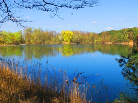 Radtour romantische Seen und Teiche im Ried