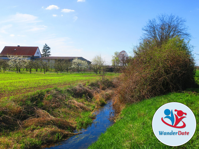 Radtour romantische Seen und Teiche im Ried