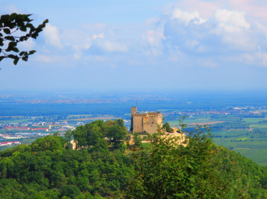 Hambacher Schloss, Felsenmeer und Hohe Loog