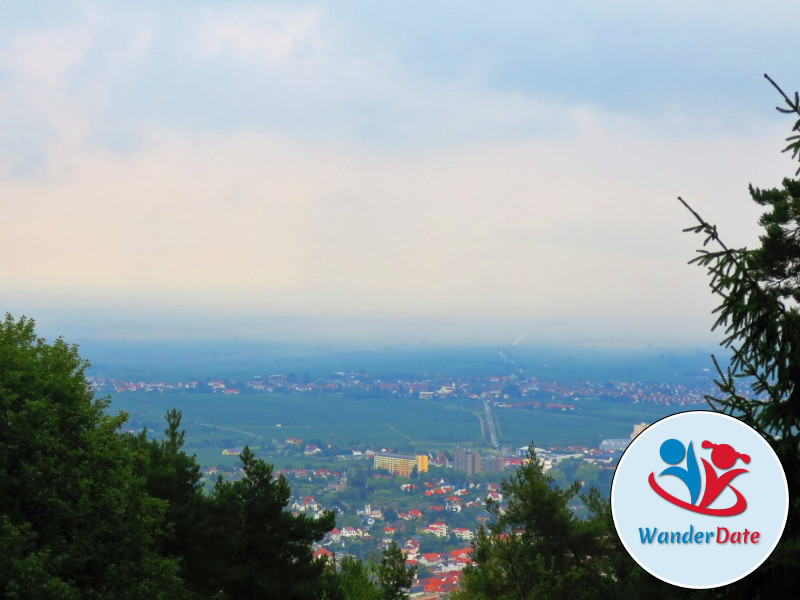 Hambacher Schloss, Felsenmeer und Hohe Loog