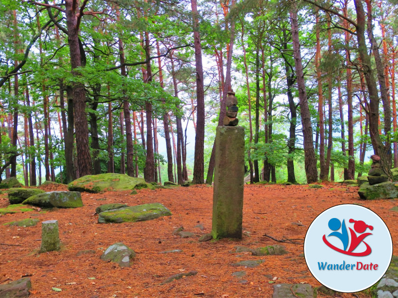 Hambacher Schloss, Felsenmeer und Hohe Loog