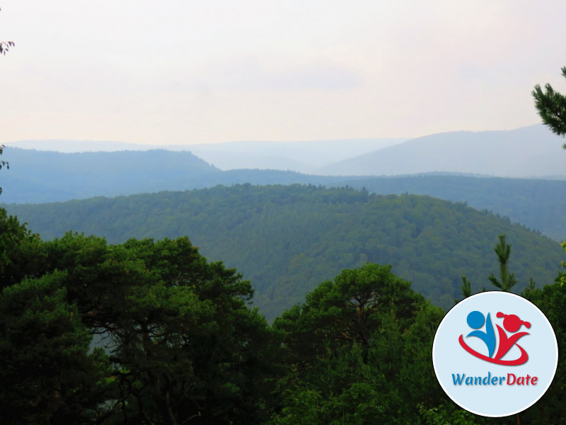 Hambacher Schloss, Felsenmeer und Hohe Loog