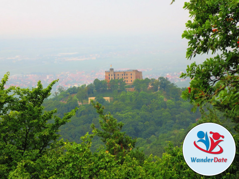 Hambacher Schloss, Felsenmeer und Hohe Loog