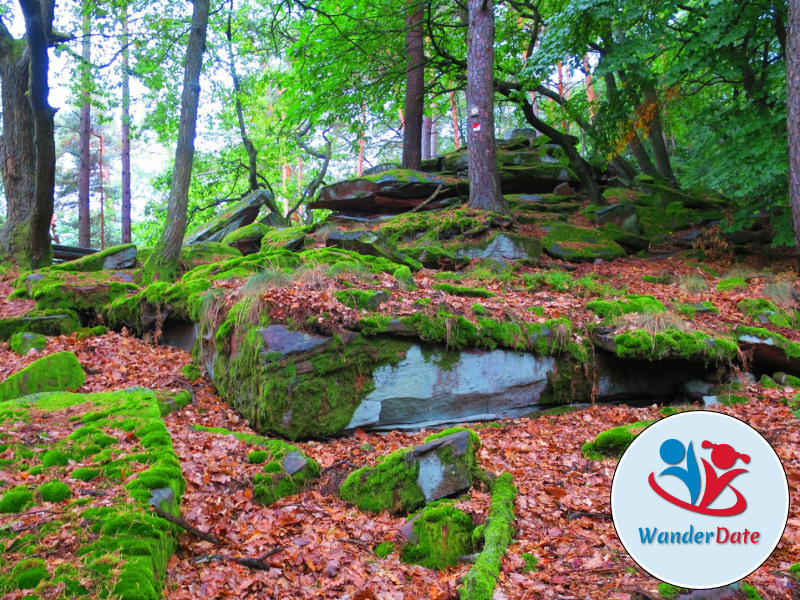 Hambacher Schloss, Felsenmeer und Hohe Loog