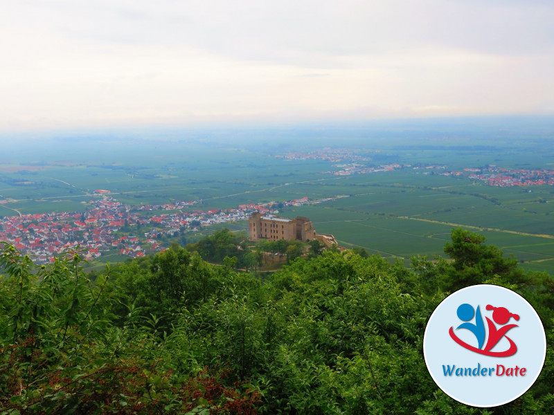 Hambacher Schloss, Felsenmeer und Hohe Loog