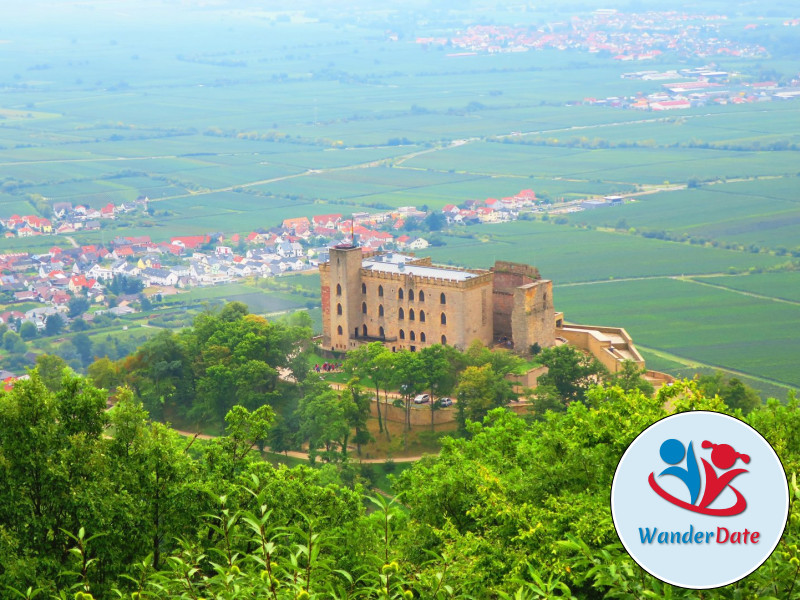 Hambacher Schloss, Felsenmeer und Hohe Loog