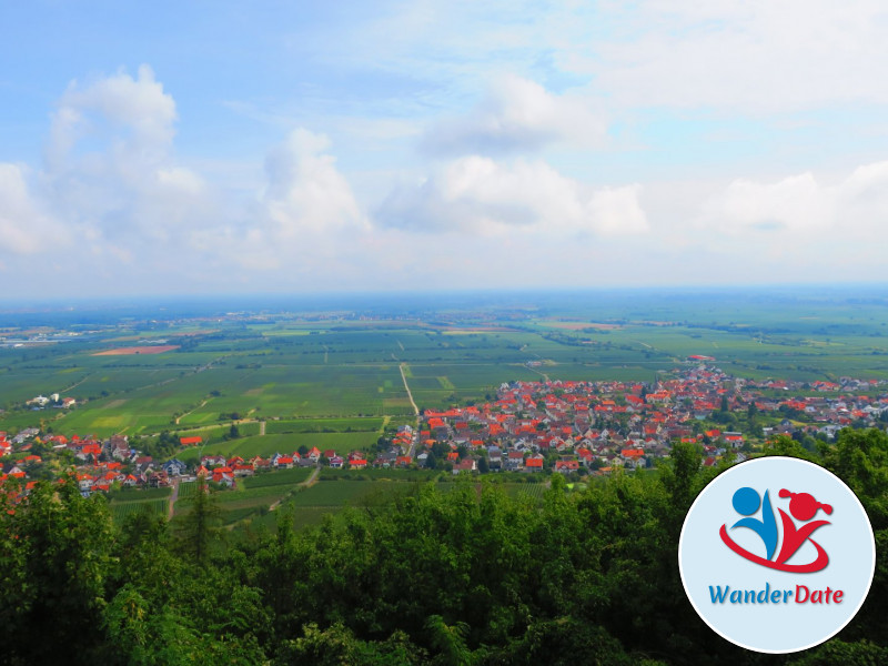 Hambacher Schloss, Felsenmeer und Hohe Loog