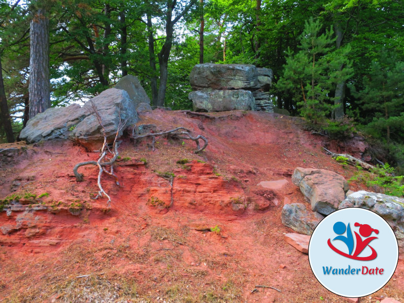 Hambacher Schloss, Felsenmeer und Hohe Loog