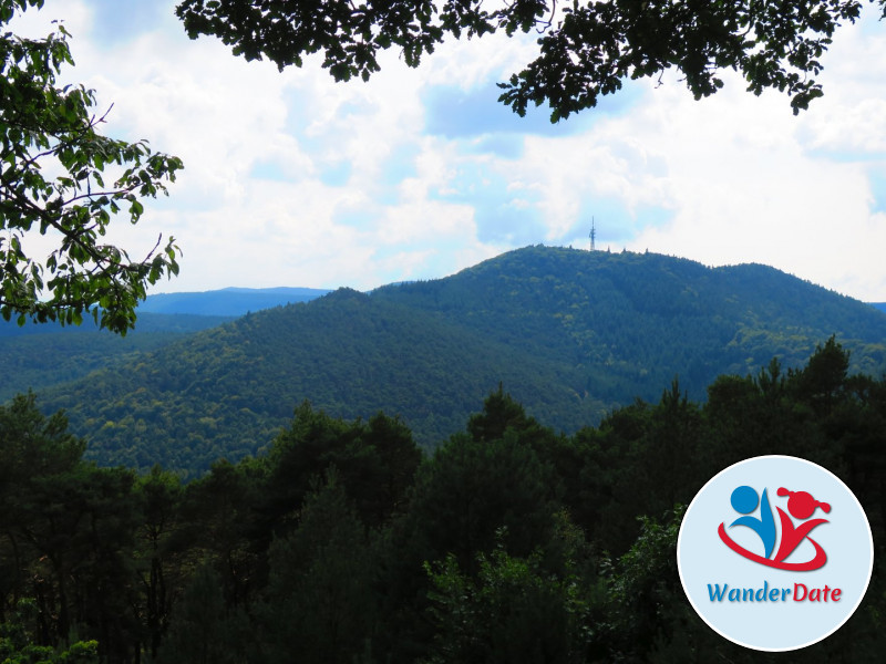 Hambacher Schloss, Felsenmeer und Hohe Loog