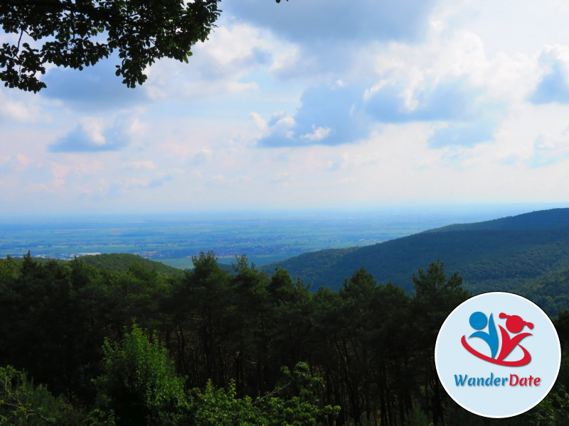 Hambacher Schloss, Felsenmeer und Hohe Loog