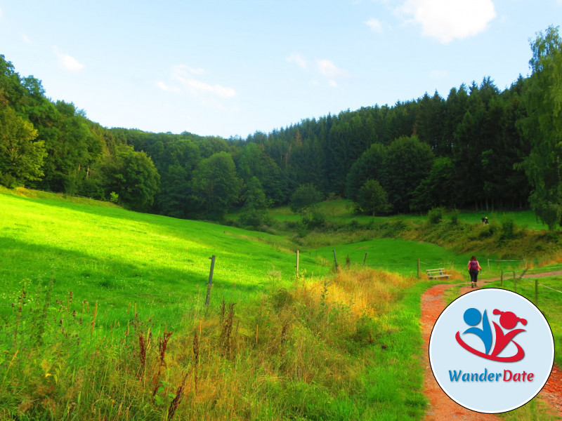 Hammelbacher Klangwanderweg