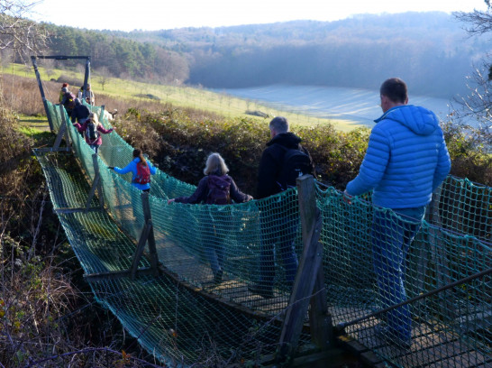 Weininsel Wanderung in Gross-Umstadt