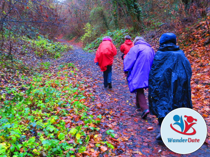 Weininsel Wanderung in Gross-Umstadt